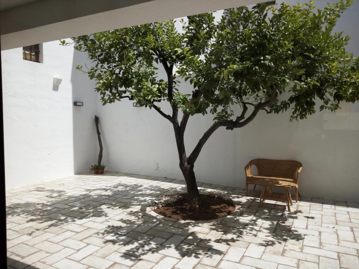 Cortile Calinea Panzió Castrignano del Capo Kültér fotó